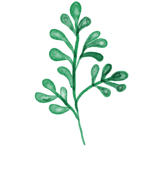 葉のイラスト
