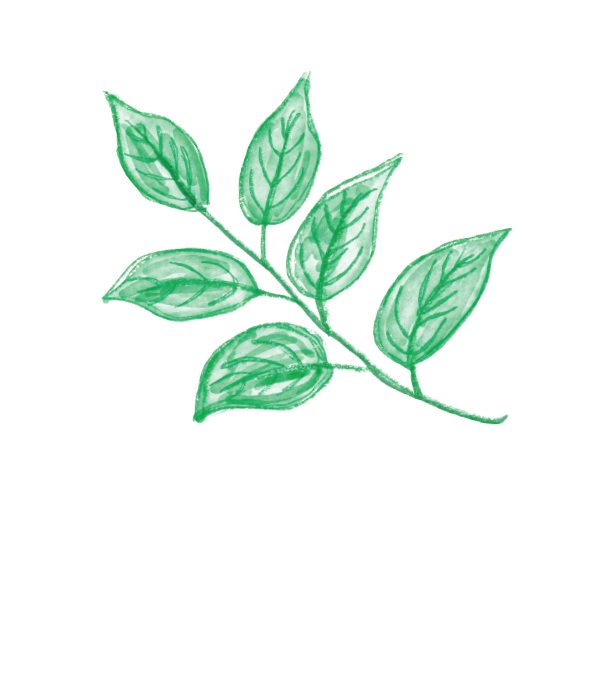 葉のイラスト