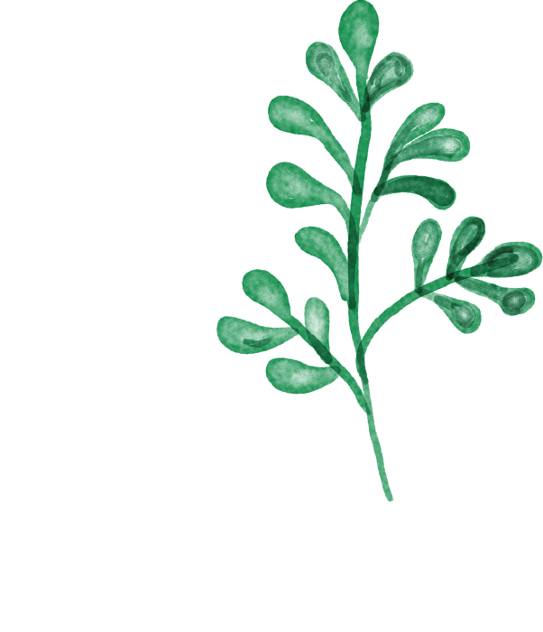 葉のイラスト